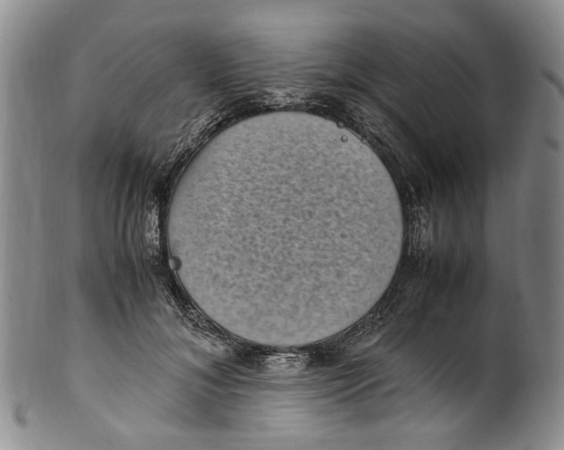 X0000100420700200806271507