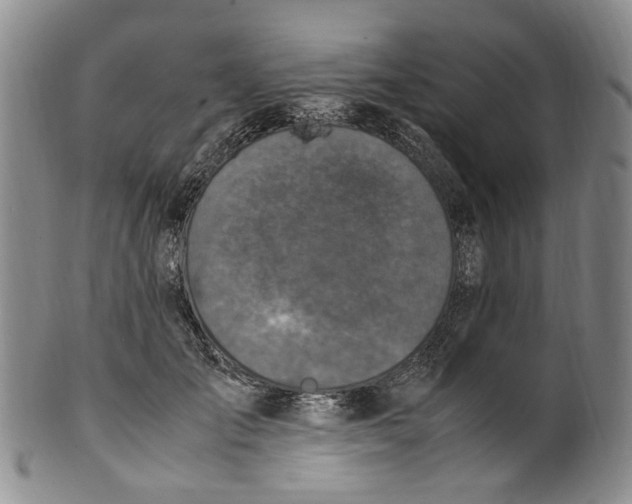 X0000100420701200806271507