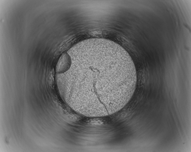 X0000100420702200806271507