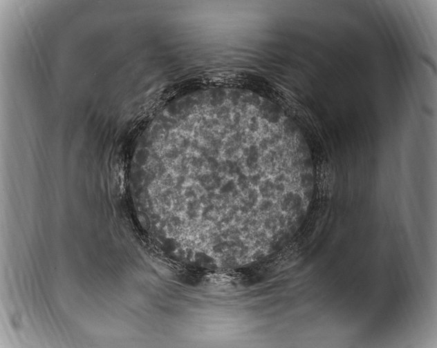 X0000100420703200806271507