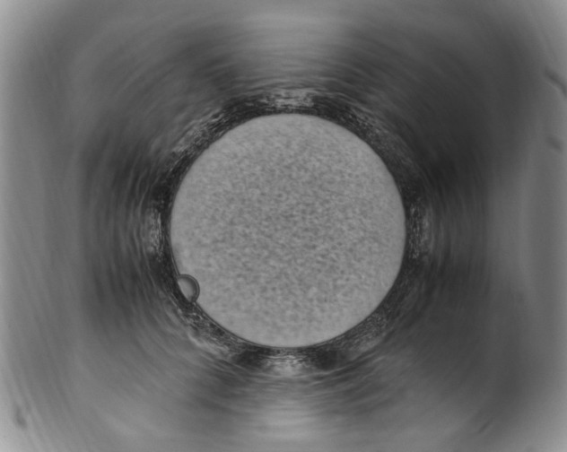 X0000100420704200806271507