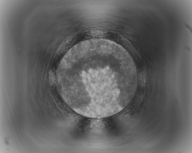 X0000100420705200806271507