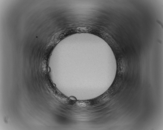 X0000100420706200806271507