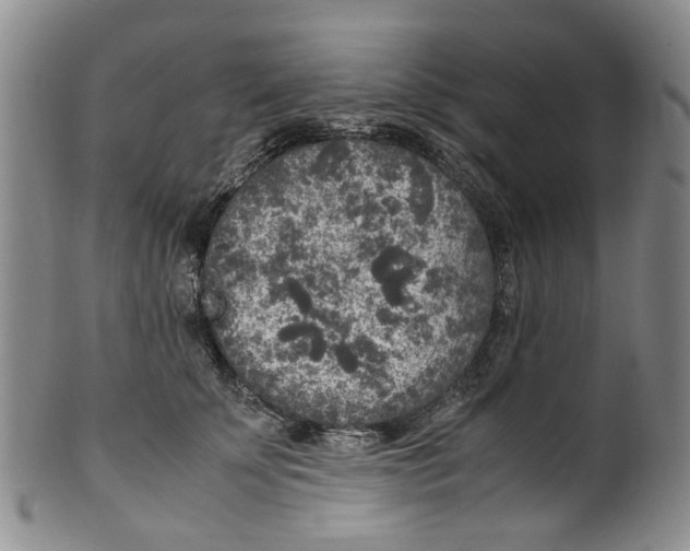 X0000100420707200806271507