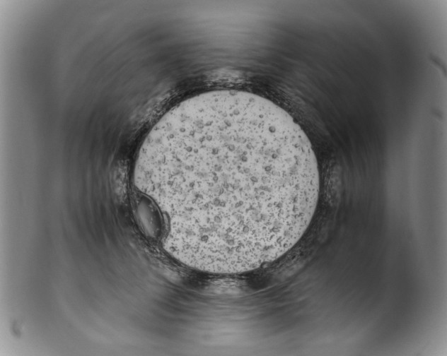 X0000100420708200806271507