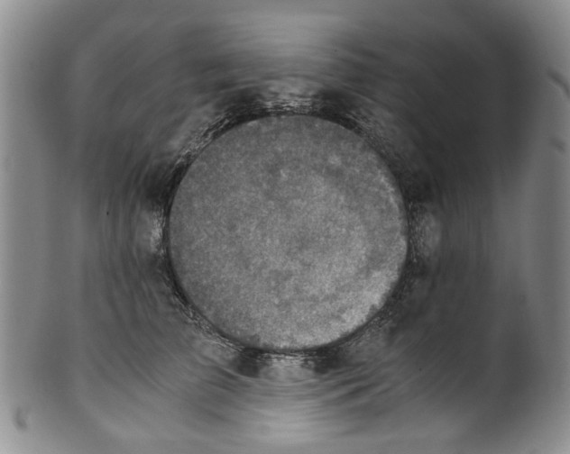 X0000100420709200806271507