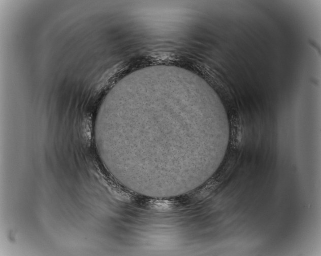 X0000100420710200806271507