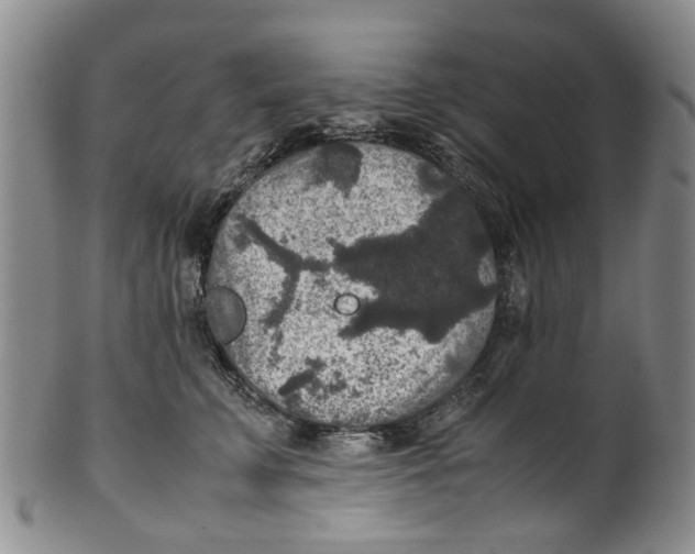 X0000100420711200806271507