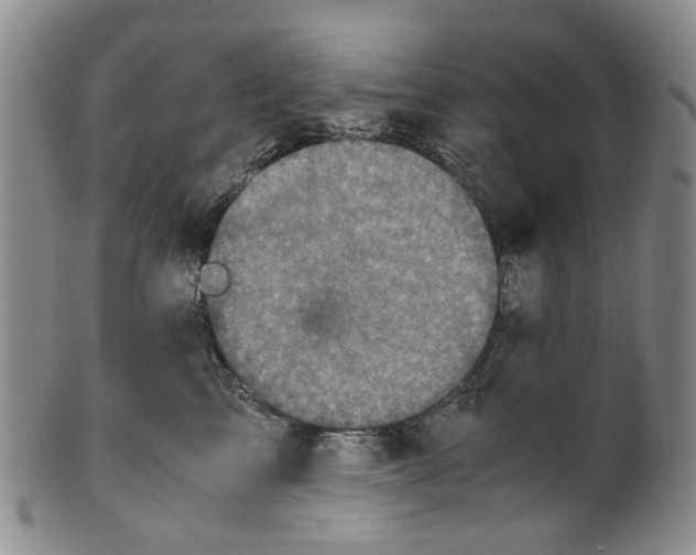 X0000100420713200806271507