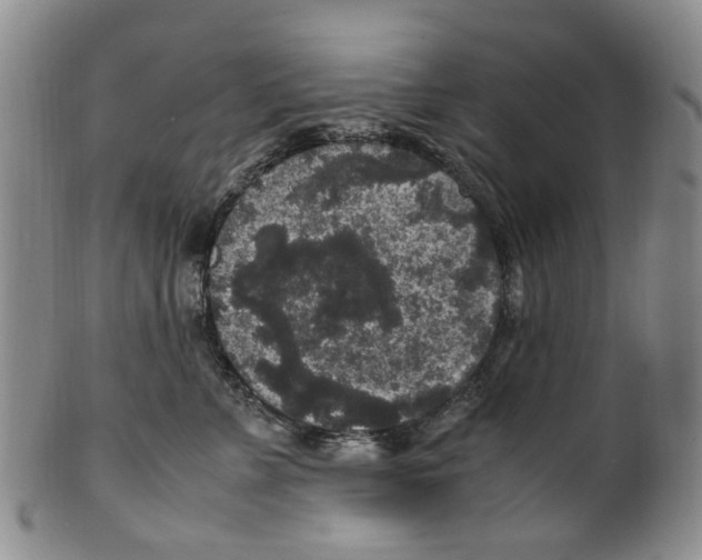 X0000100420715200806271507