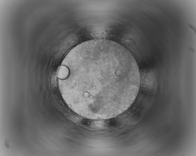 X0000100420717200806271507