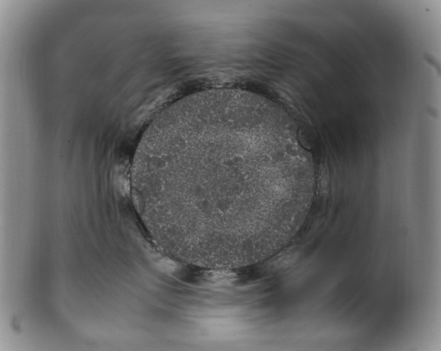 X0000100420719200806271507