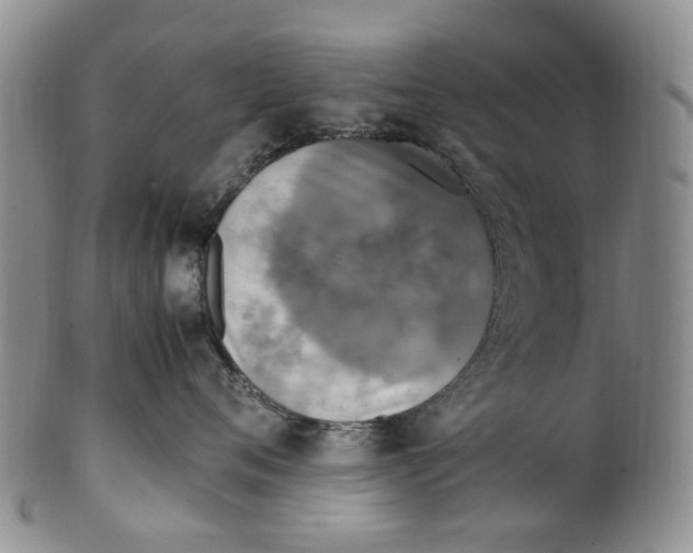 X0000100420720200806271506