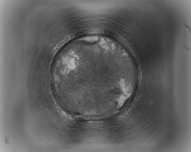 X0000100420721200806271506