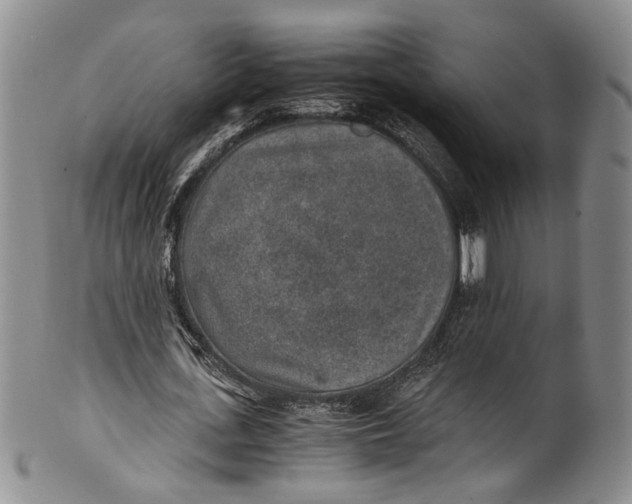 X0000100420723200806271506