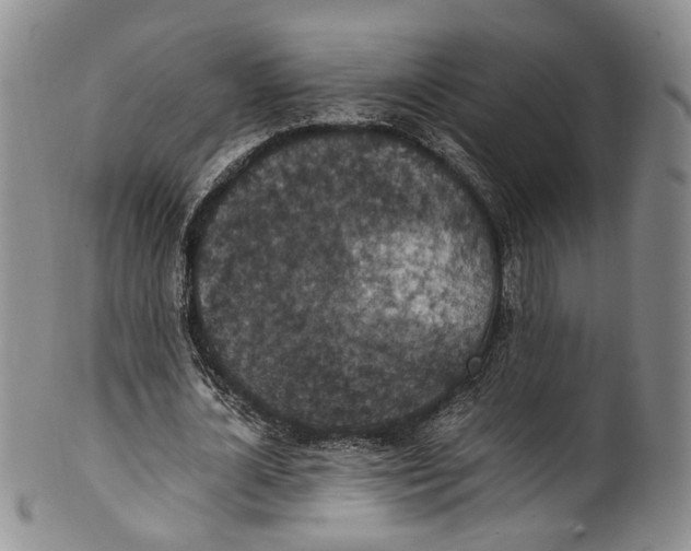 X0000100420724200806271506