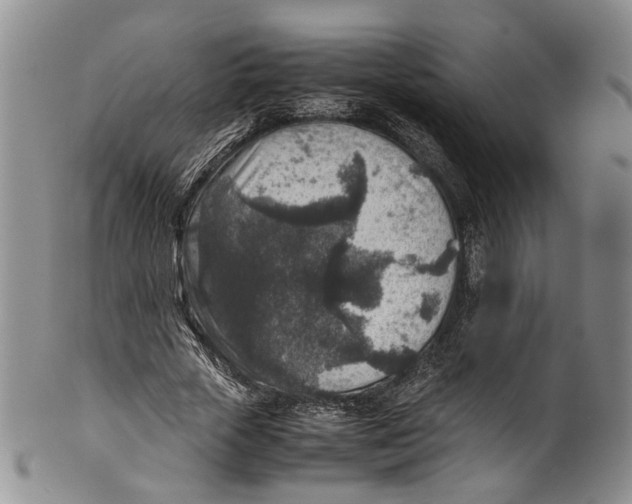 X0000100420729200806271506