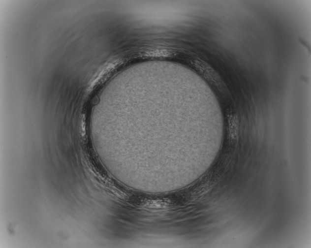 X0000100420731200806271506