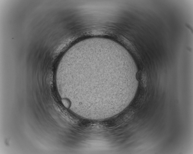 X0000100420732200806271506