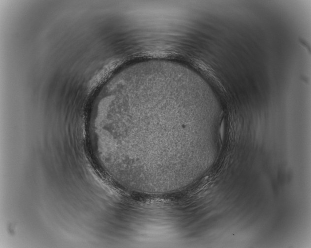 X0000100420734200806271506