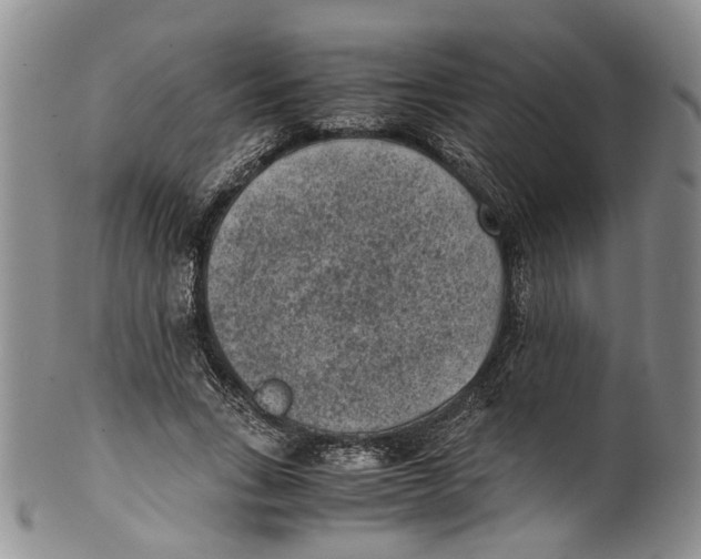 X0000100420735200806271506