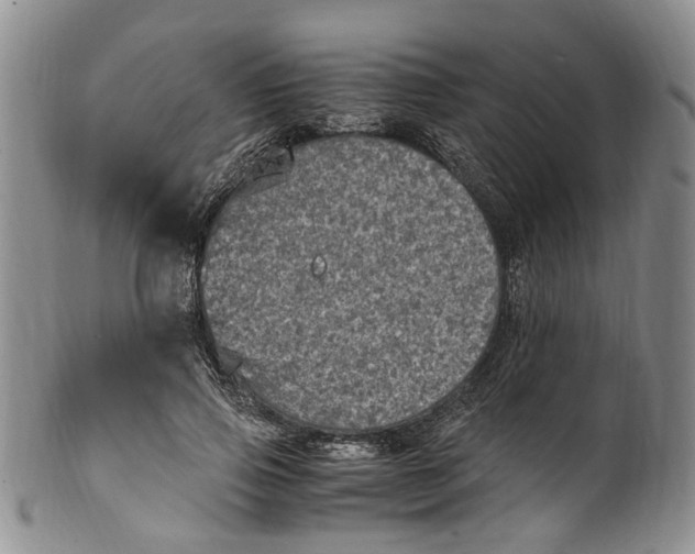 X0000100420741200806271506