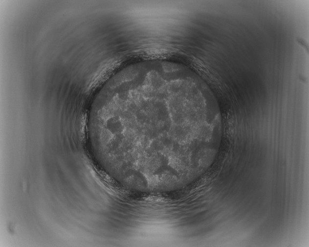 X0000100420742200806271506
