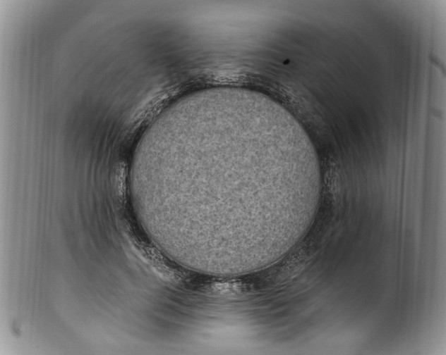 X0000100420744200806271506