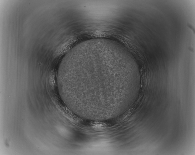 X0000100420746200806271506