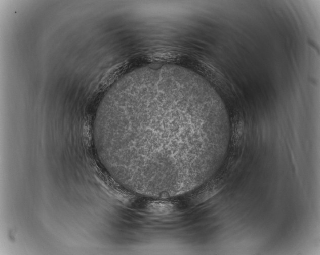 X0000100420749200806271506