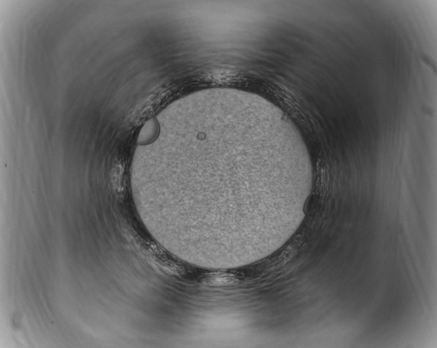 X0000100420750200806271506