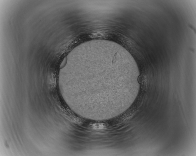 X0000100420751200806271506