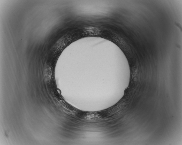 X0000100420752200806271506