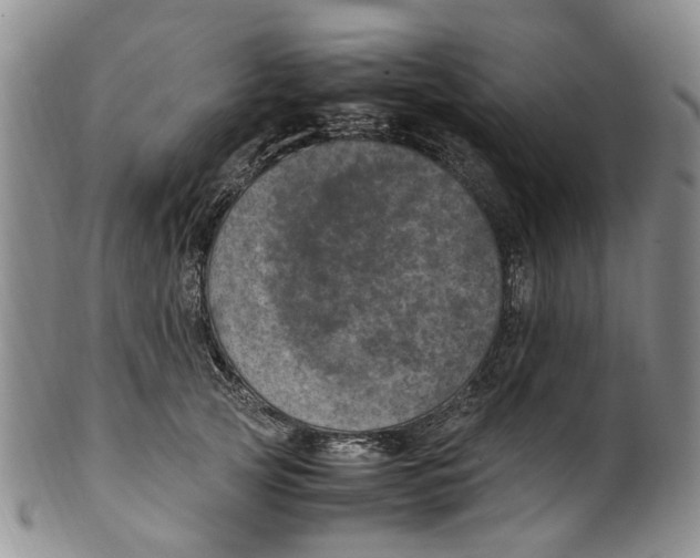 X0000100420753200806271506