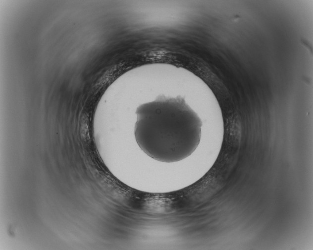 X0000100420754200806271506