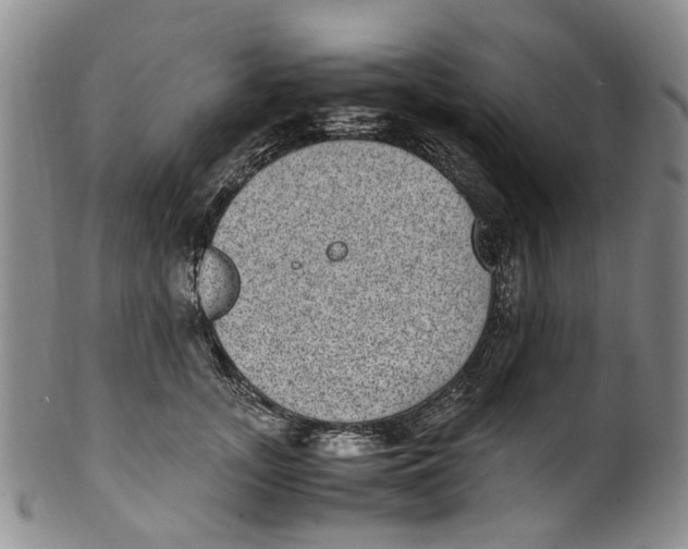 X0000100420755200806271506