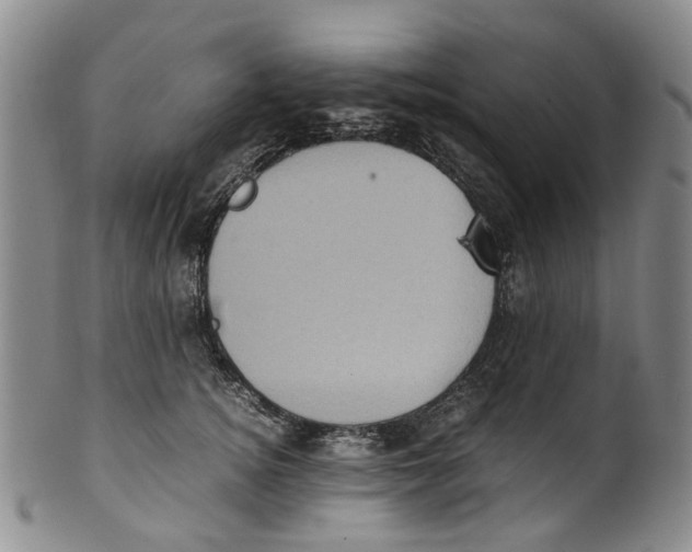 X0000100420756200806271506