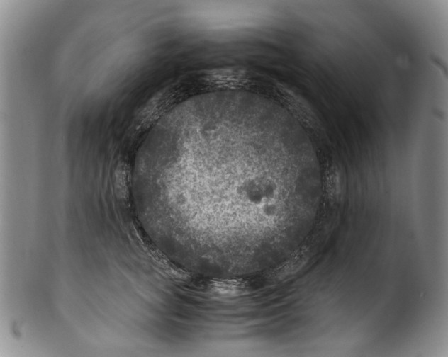 X0000100420757200806271506
