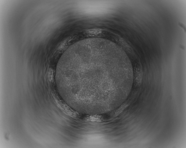 X0000100420758200806271506