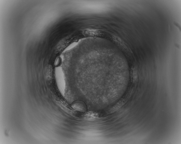 X0000100420760200806271506