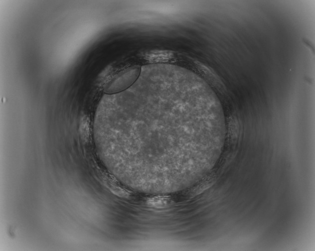 X0000100420761200806271506