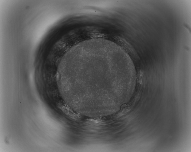 X0000100420763200806271506