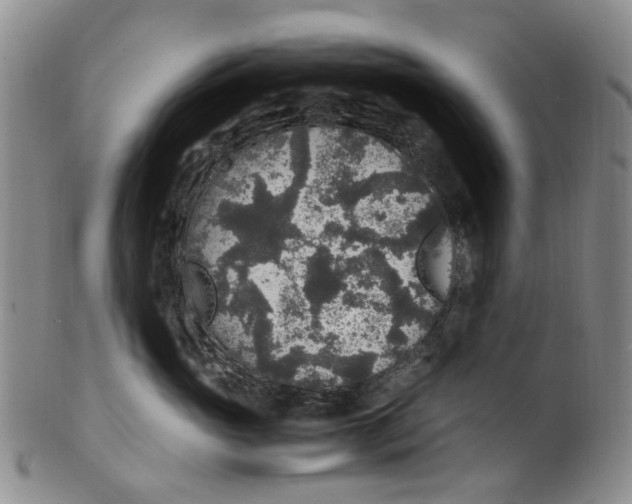 X0000100420765200806271506