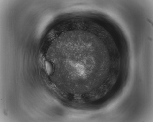 X0000100420766200806271506