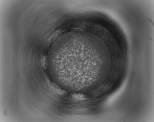 X0000100420767200806271506