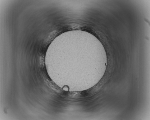 X0000100420768200806271506