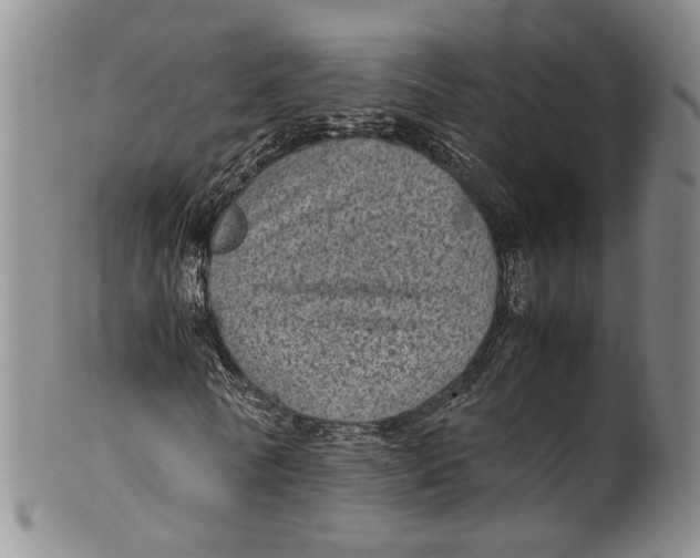 X0000100420770200806271506