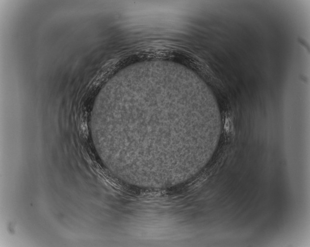 X0000100420771200806271506