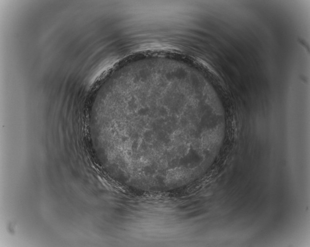 X0000100420775200806271506