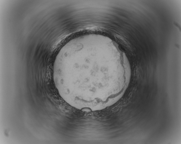 X0000100420776200806271506